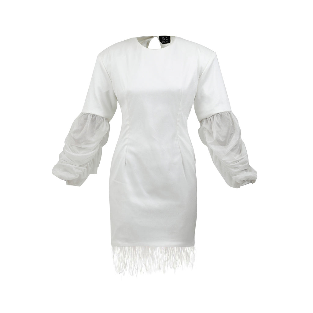 Feather-Trimmed Satin & Organza Mini Dress