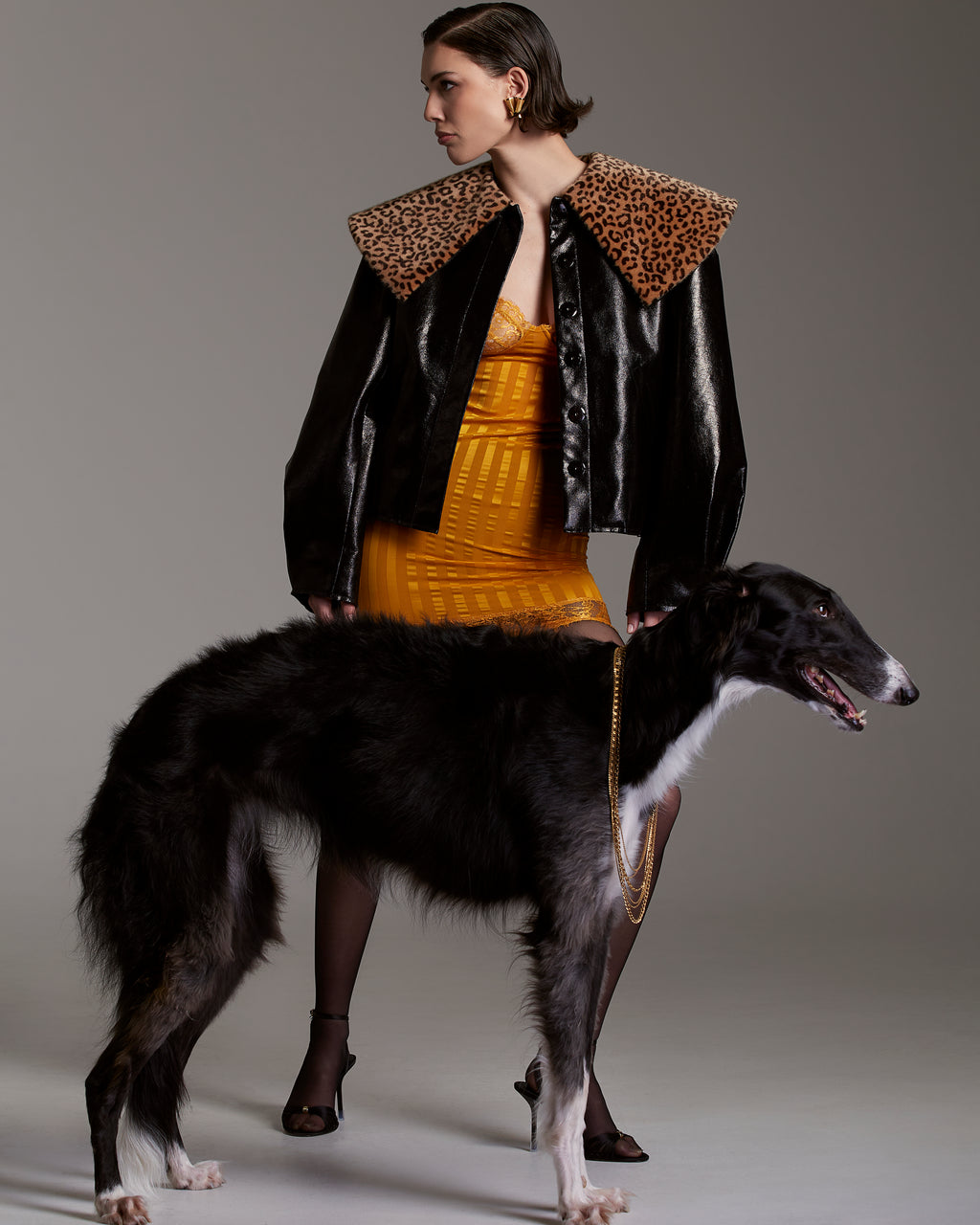 Faux Patent Leather Jacket with Leopard Print Collar