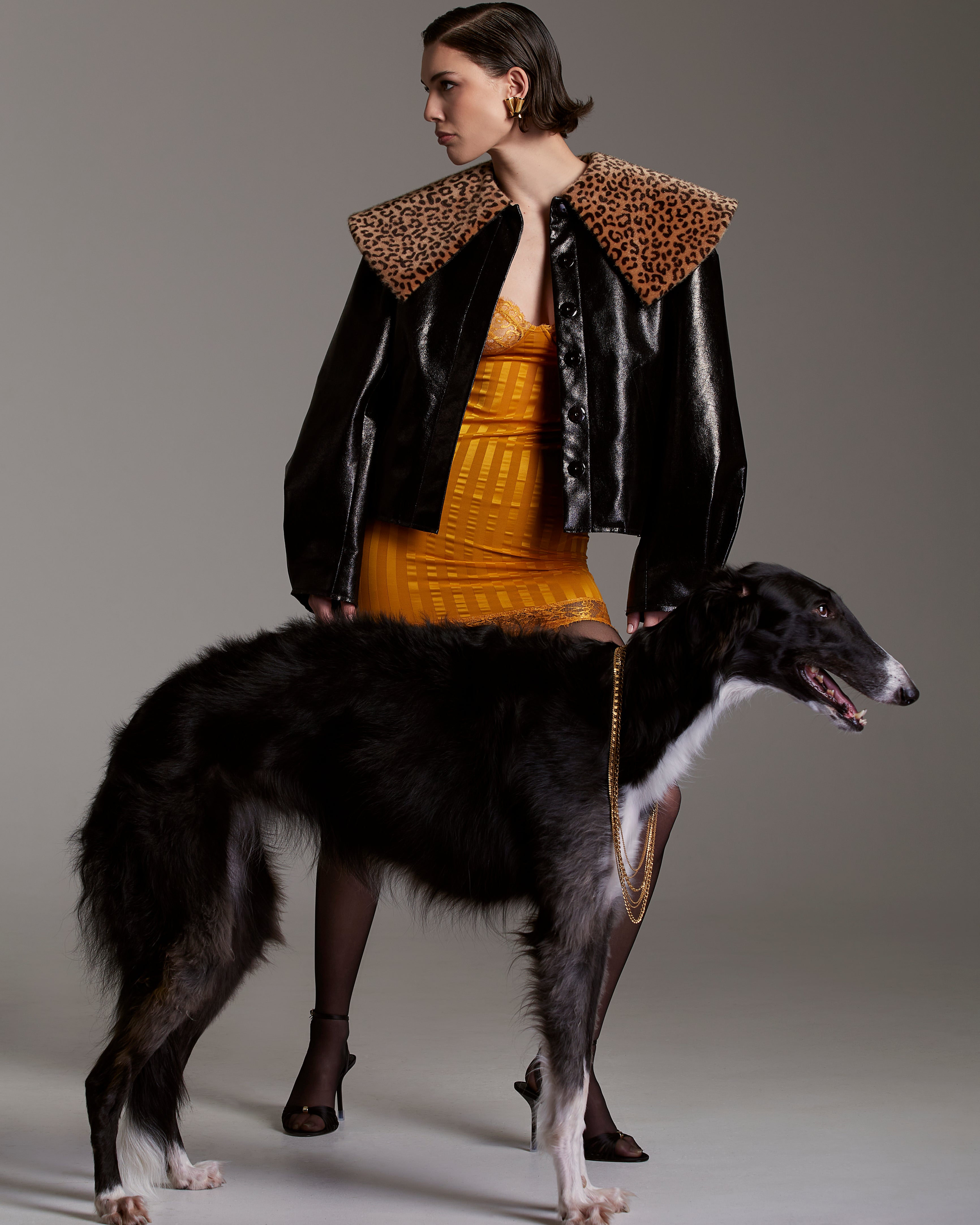Faux Patent Leather Jacket with Leopard Print Collar